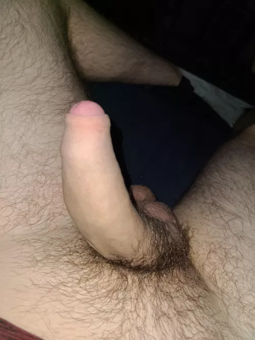 would someone suck of me off please, it's been a rough day