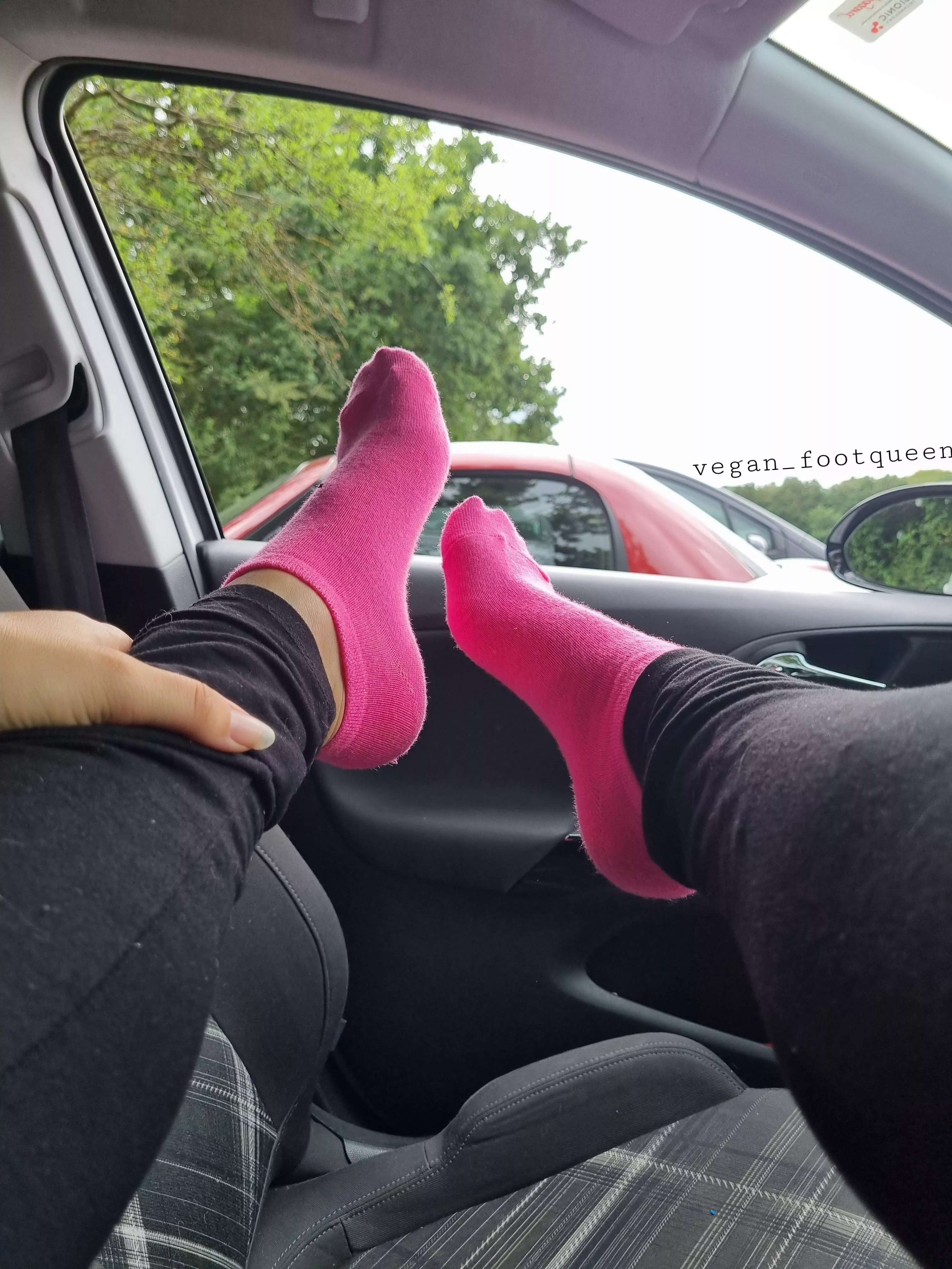 Would you be my passenger? š Would you be my passenger? š
