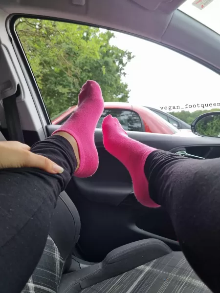 Would you be my passenger? π