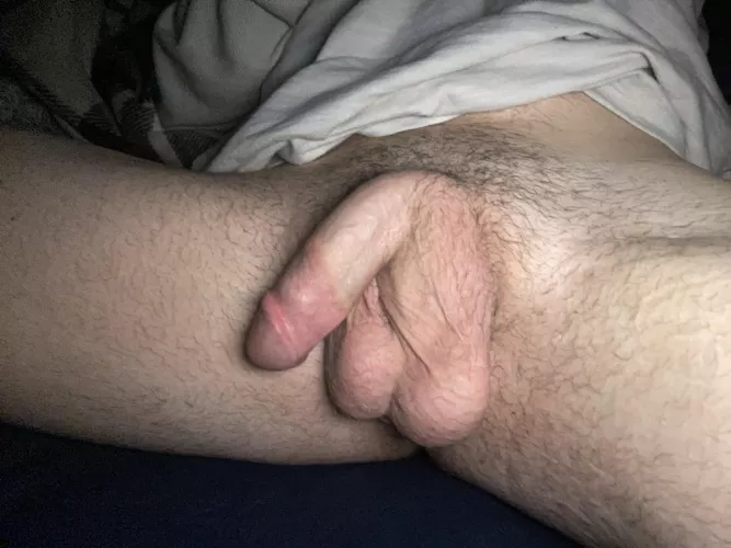 Would you drain my virgin balls