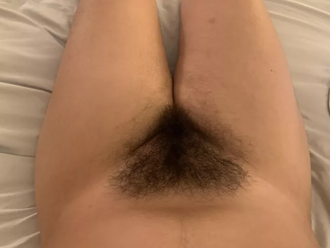 Would you eat me out? I can keep your nose warm :3