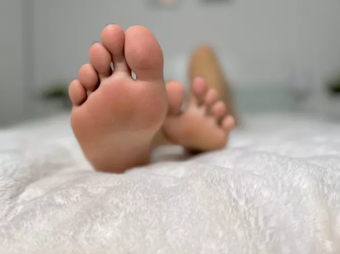 Would you enjoy my feet in your face?
