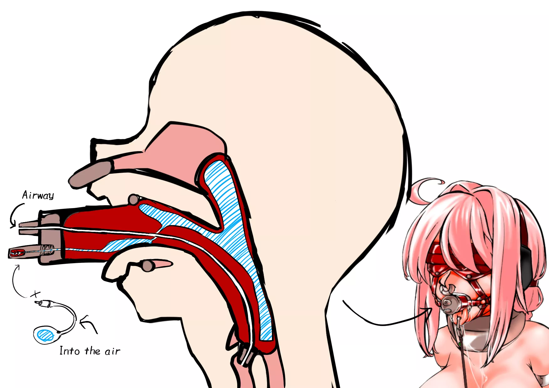 Would you fit this inflatable gag to your property, or to yourself? Would you fit this inflatable gag to your property, or to yourself?