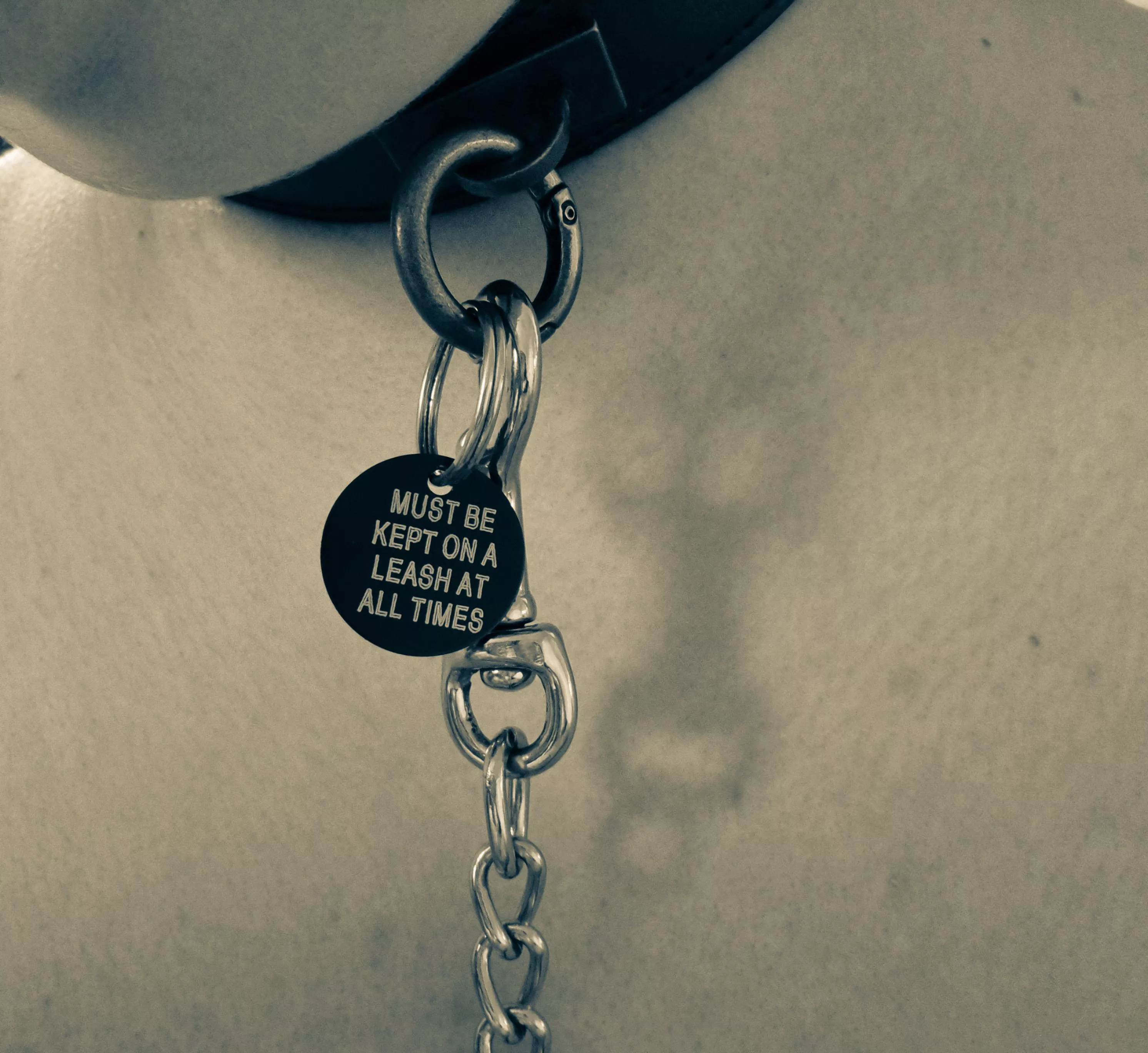 Would you hold the other end of the leash? 😈🥵