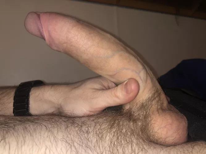 Would you let my curve hit ur prostate?π