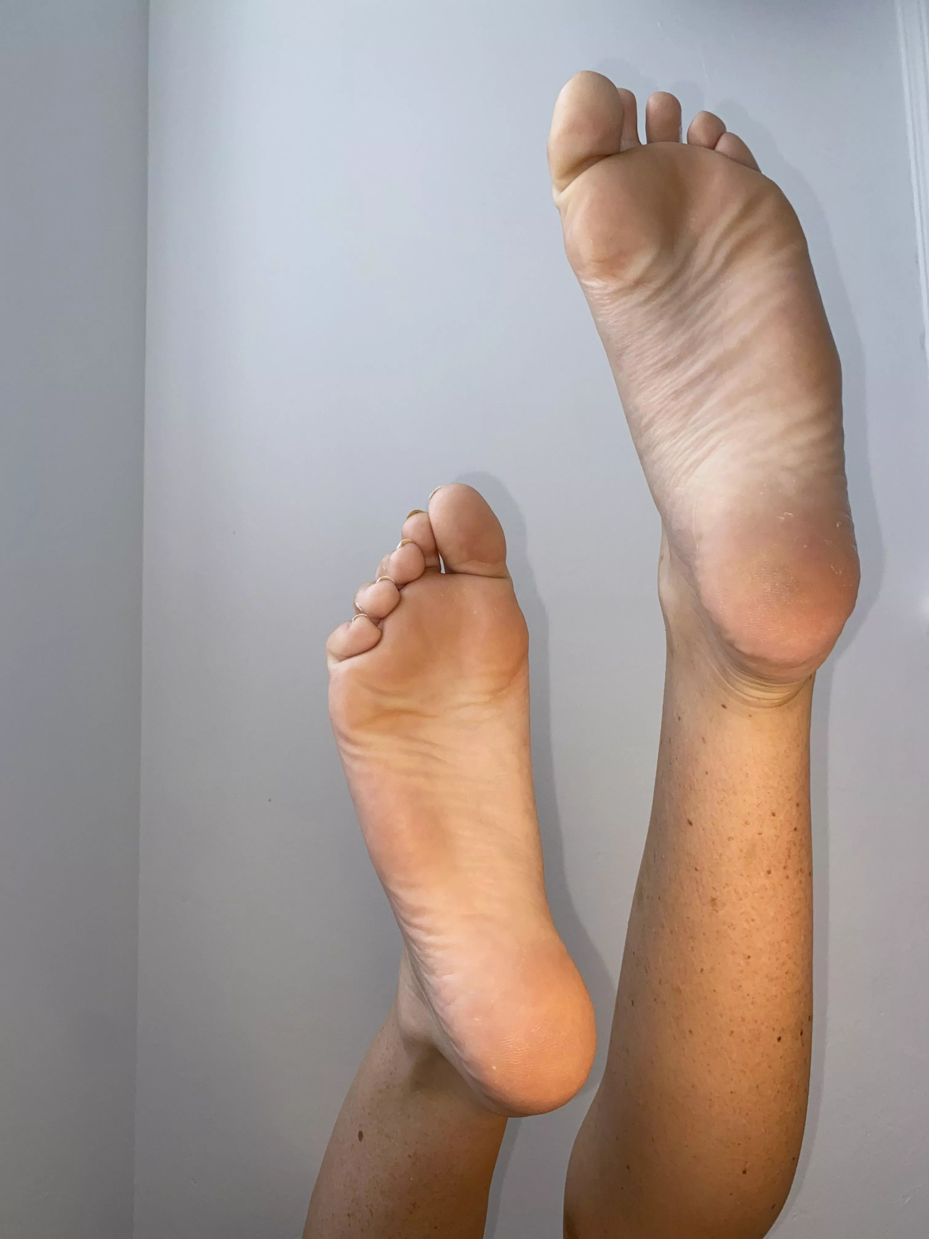 Would you like my feet in your face?