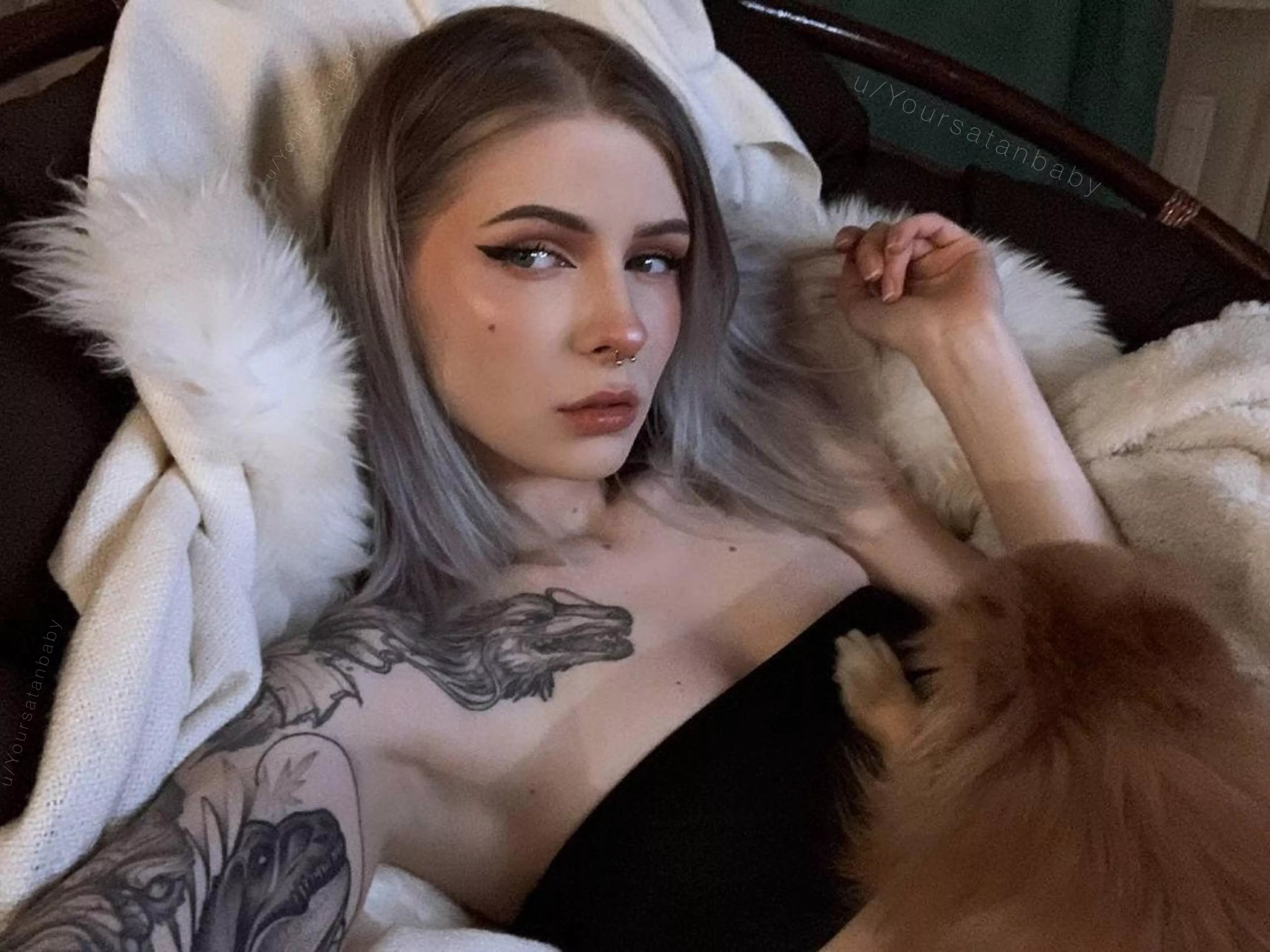 Would you like to be in the place of a dog? ππ€π₯°π Would you like to be in the place of a dog? ππ€π₯°π