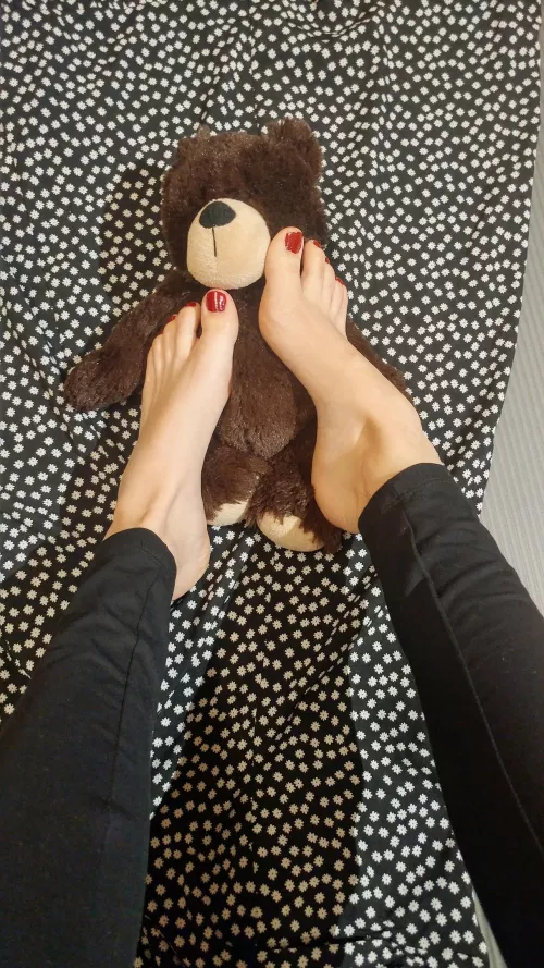 Would you like to be the teddy bear 🤭