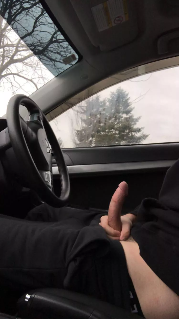 Would you like to go for a “car” ride?