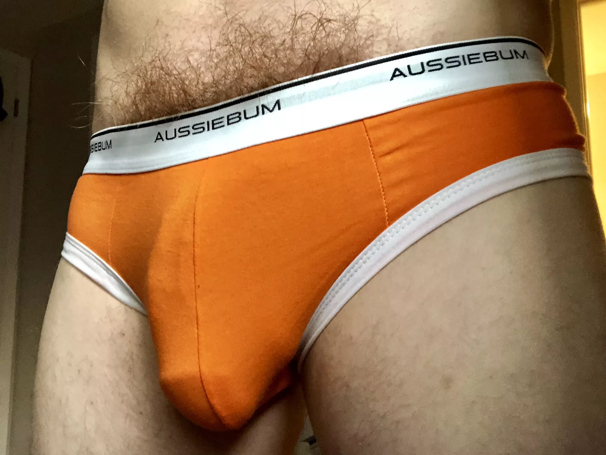 Would you like to grope my bulge?