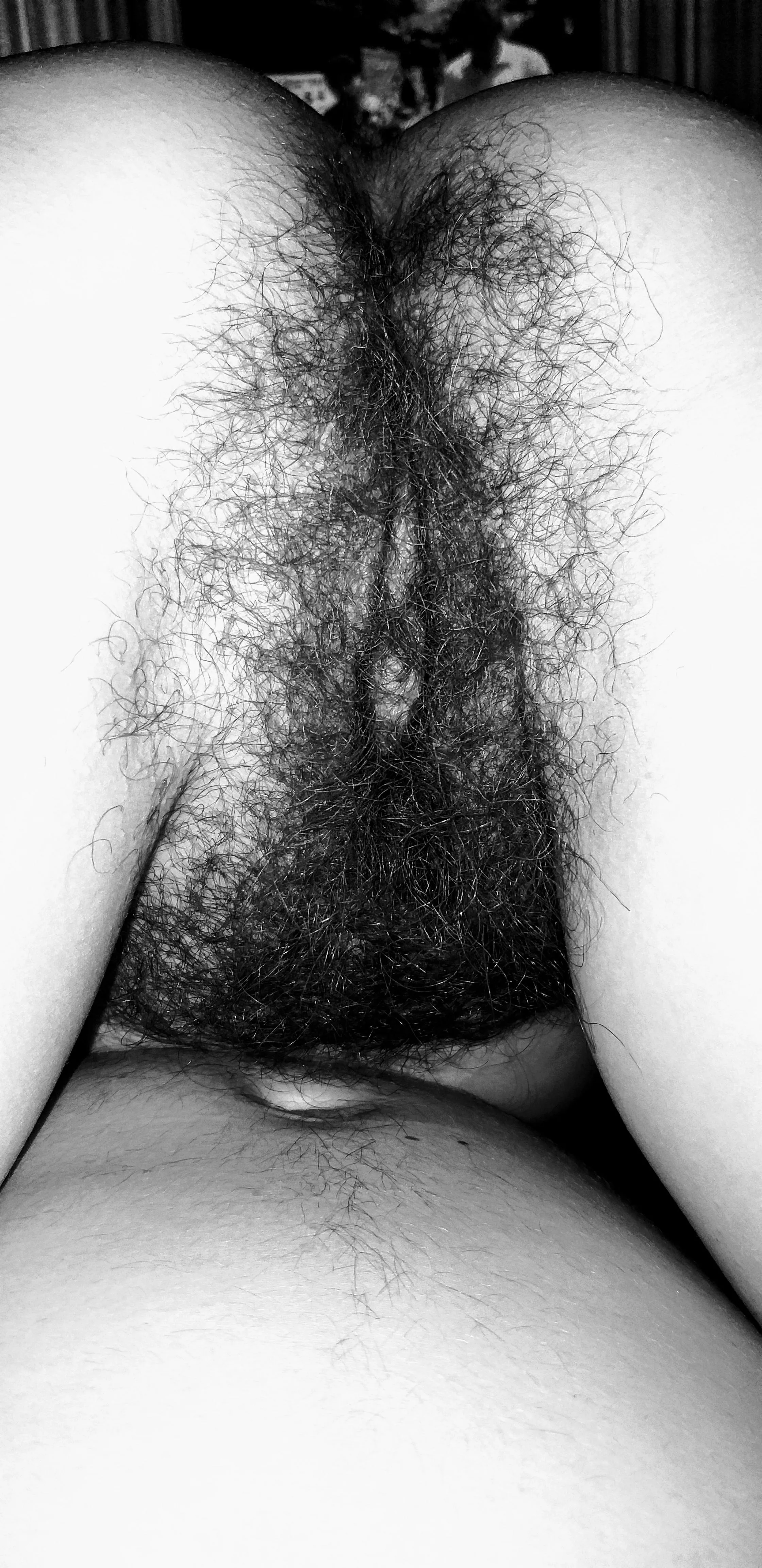 Would you like to see this backing up to you in the morning?