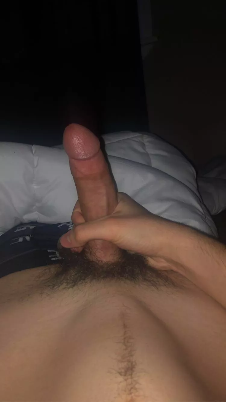 Would you like to taste my Morning wood?
