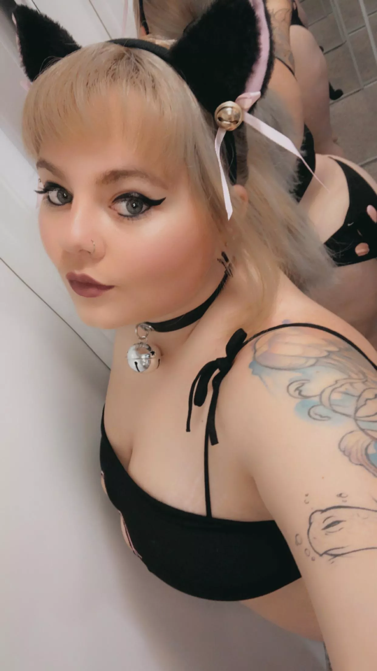 Would you pet me? 🐱