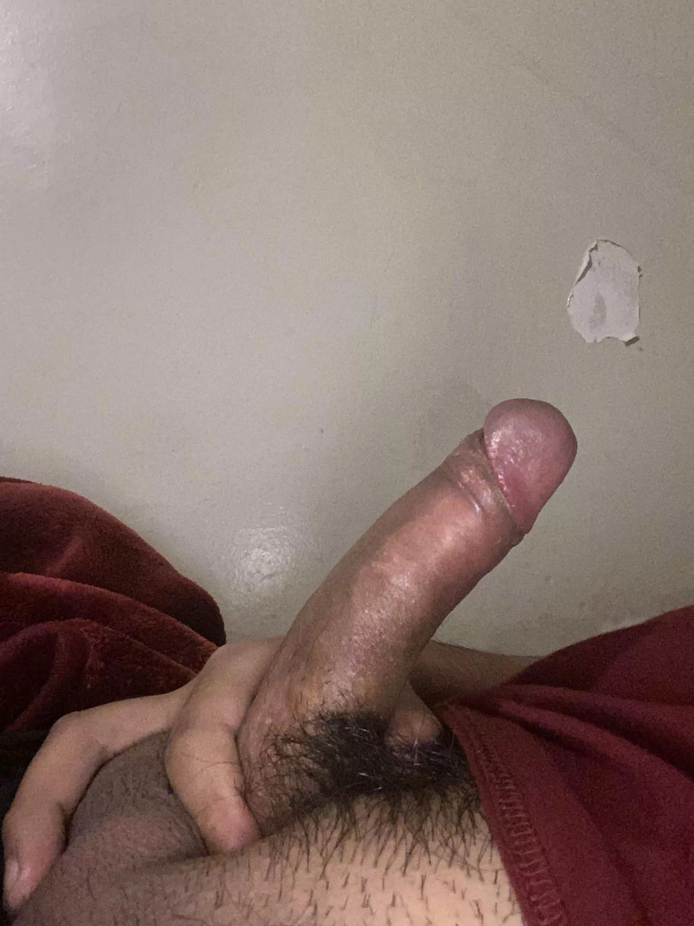 Would you sit on it???