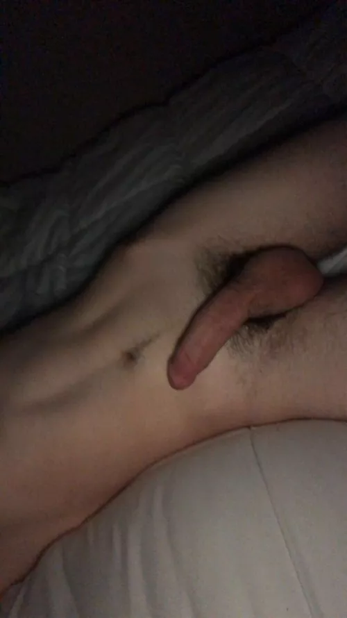 Would you suck my cock while I sleep?