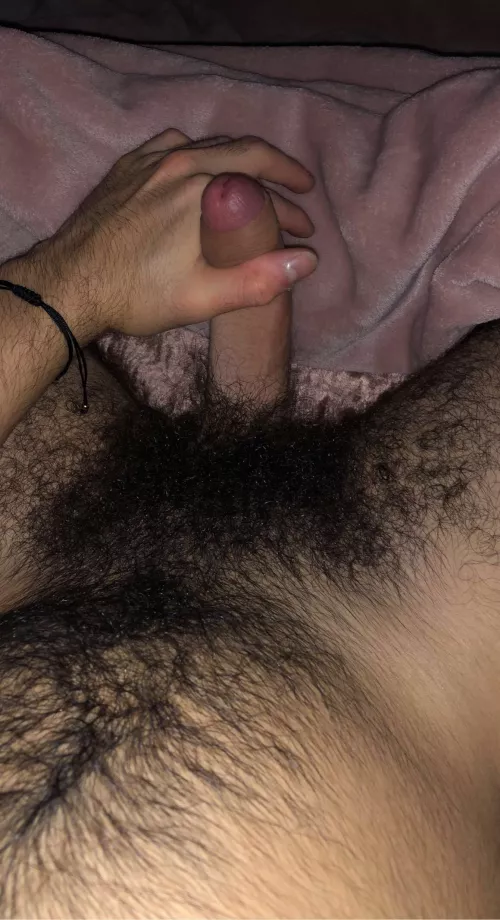would you suck my hairy dick?