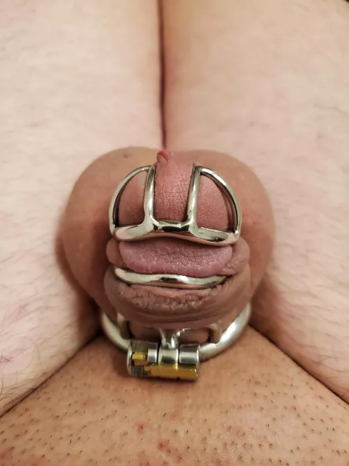 Would you unlock it? 😶