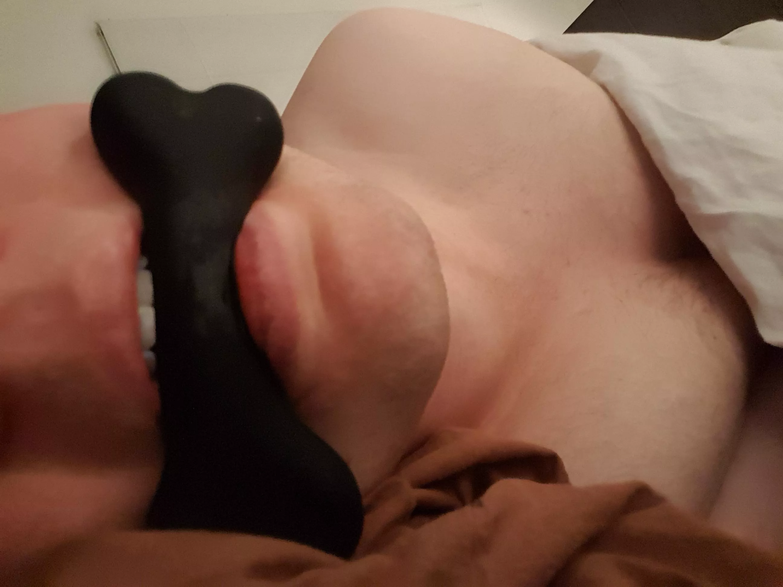 Would you want a puppy as Christmas gift?