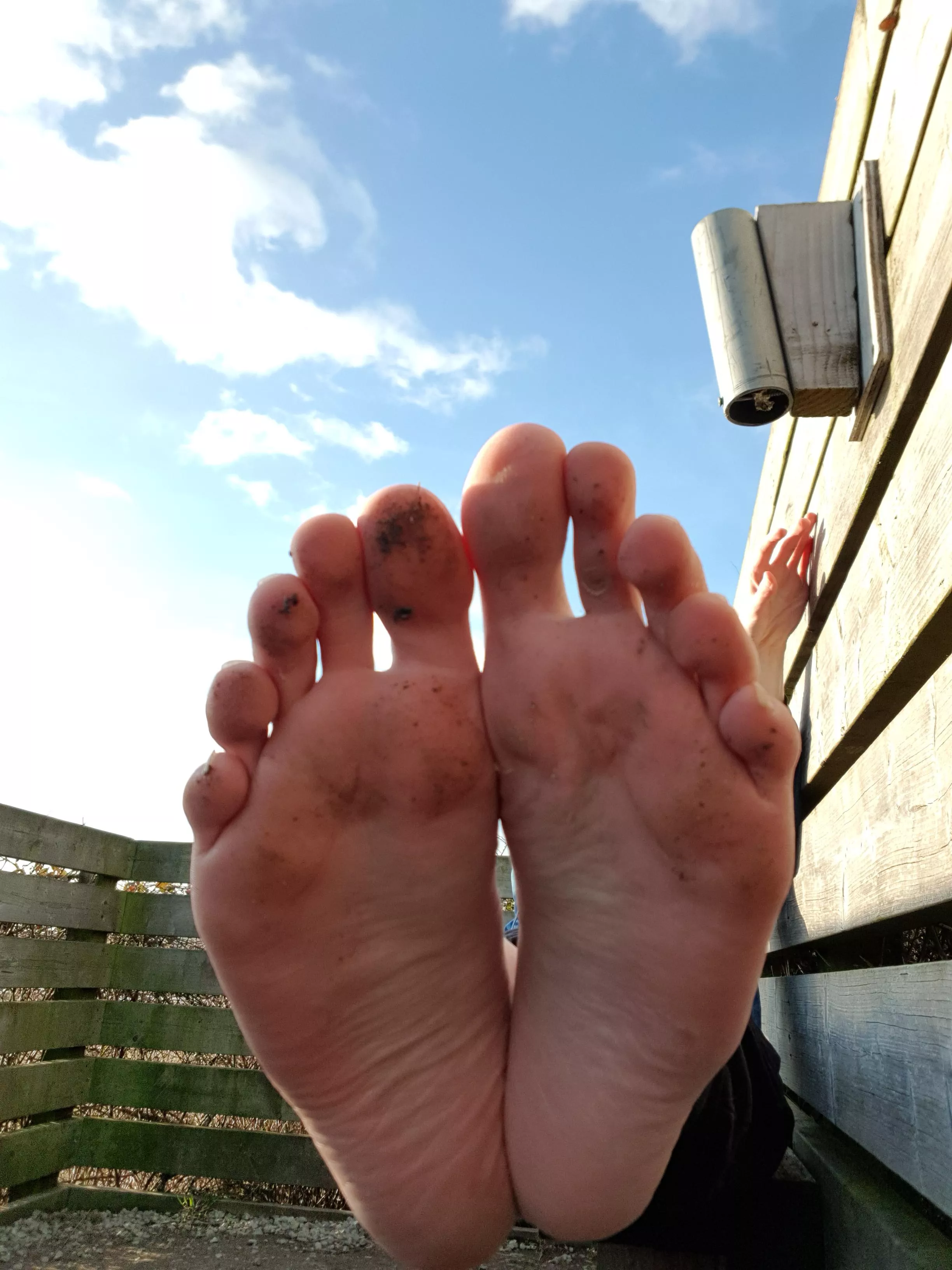 Would you worshiped my feet in public