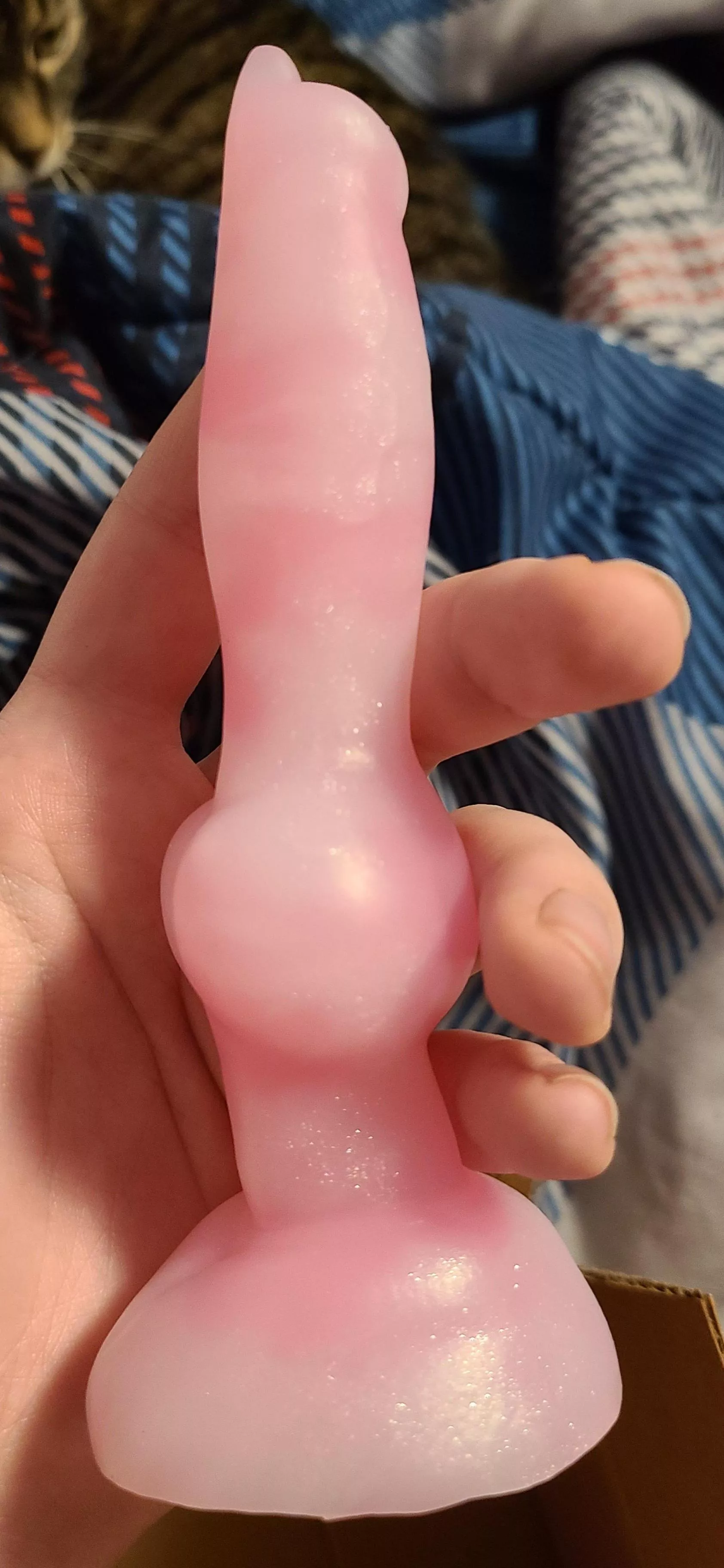 WTB M/S or M/M rogue pink topaz Rex! I loved the colors of my mini so much that I want him in a bigger size!