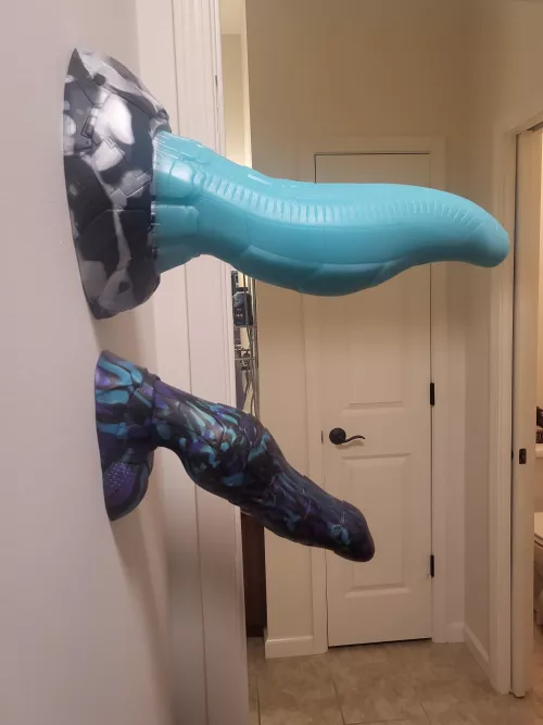 XL Habu vs LG Bishop.