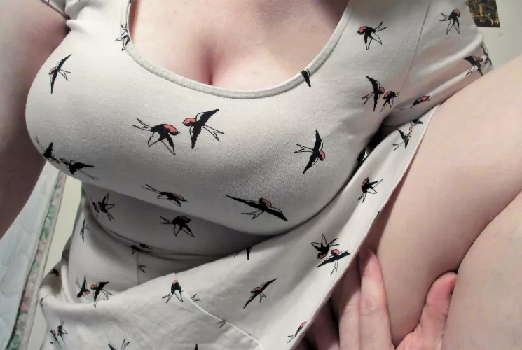 Yes, those are swallows lol