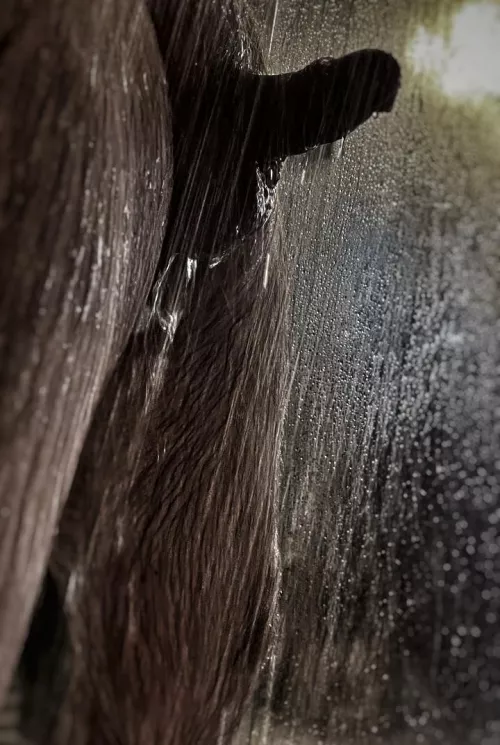 Yet another trip around the sun. The days are just drops passing by.