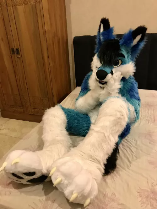 Yip! I wish I was your cuddle plush! Would you bring me home?
