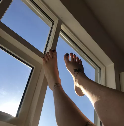 You are on a walk and see my size 13 soles through the window. What do you do?