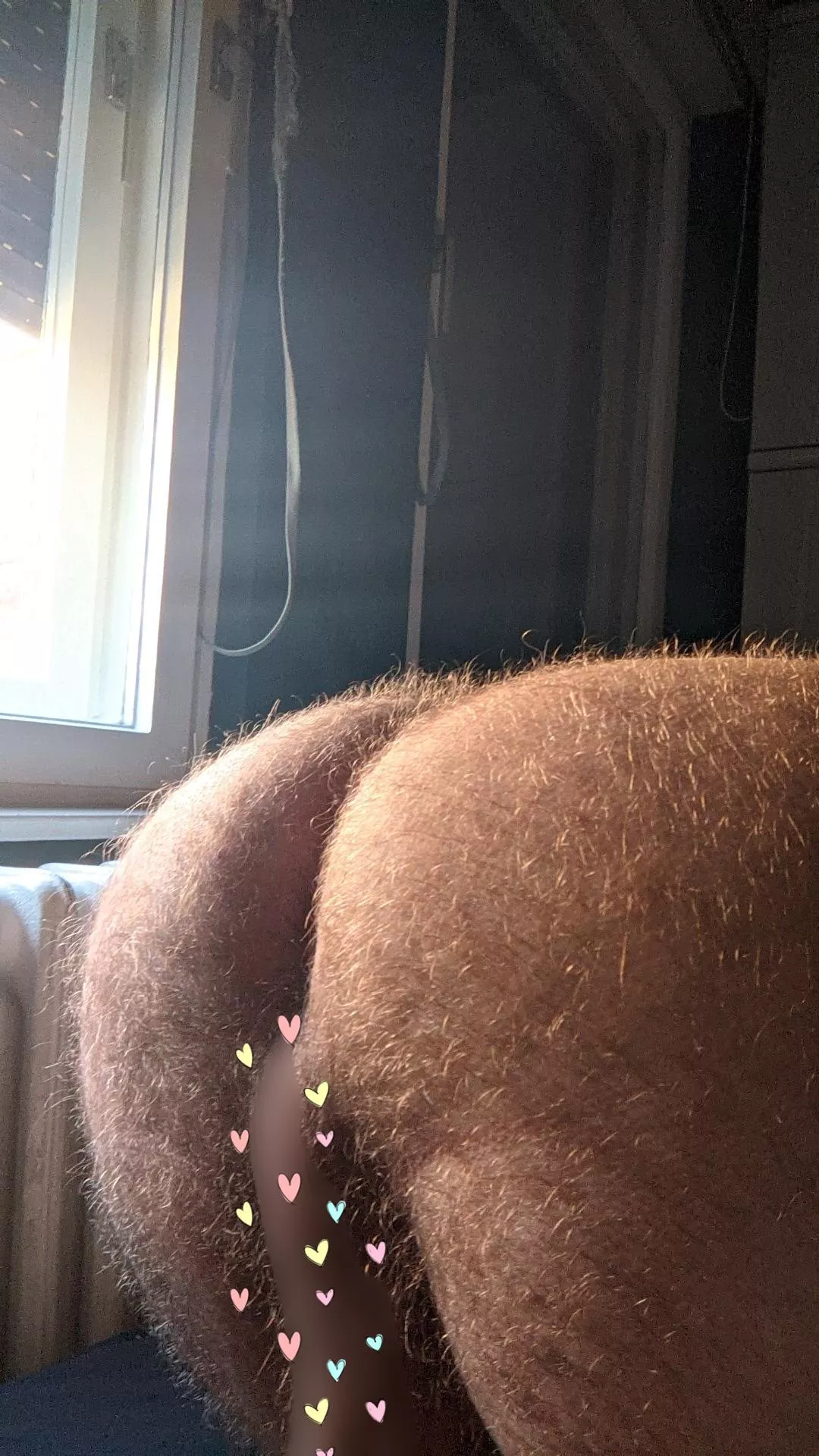 You can smell this 🐻