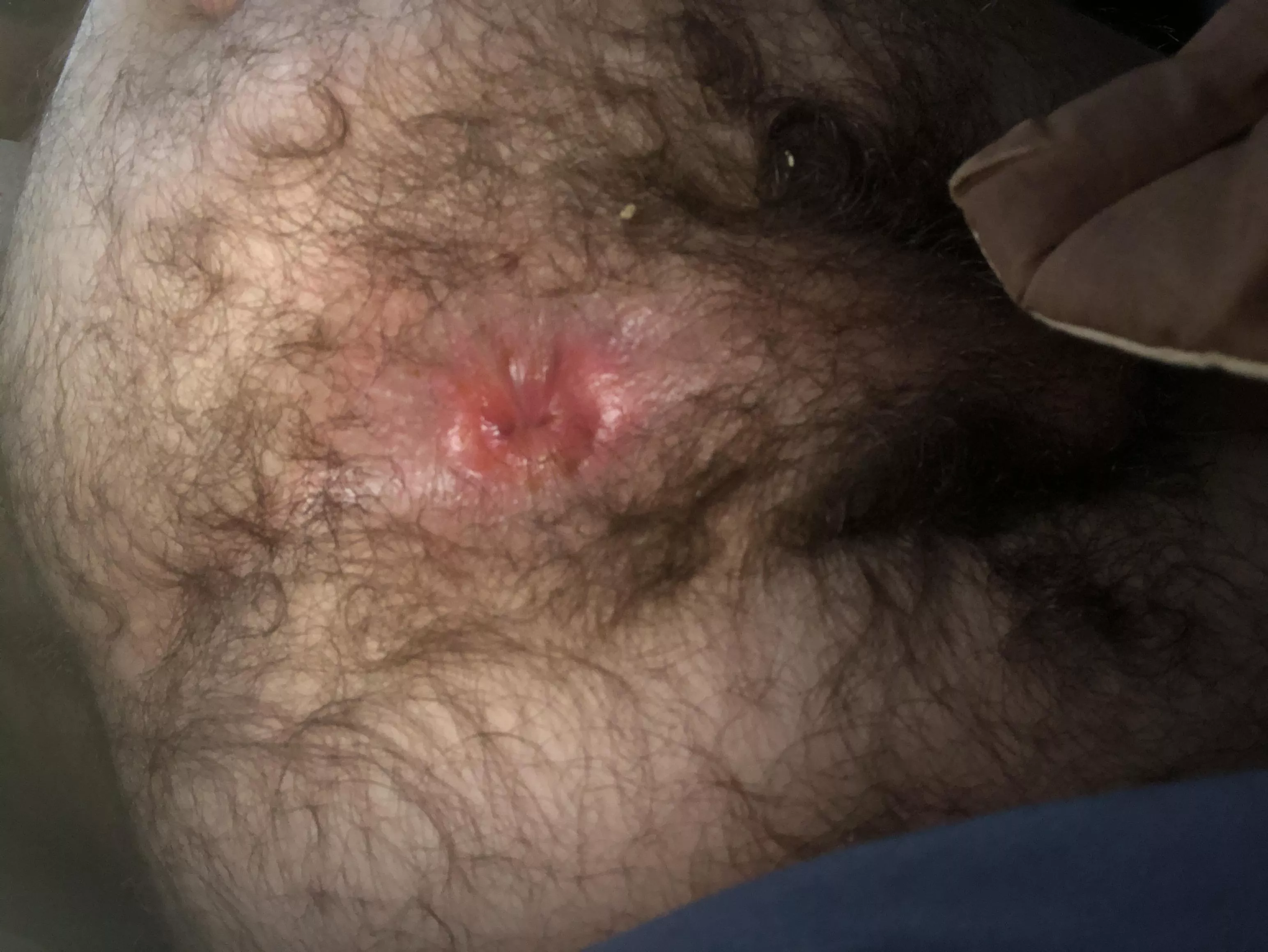 You guys like hairy You guys like hairy