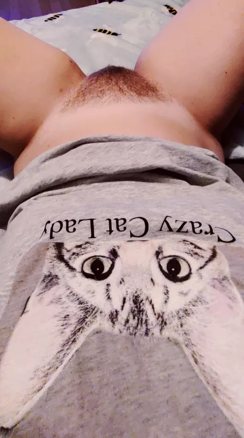 You like my 😺? ✨💖🪴