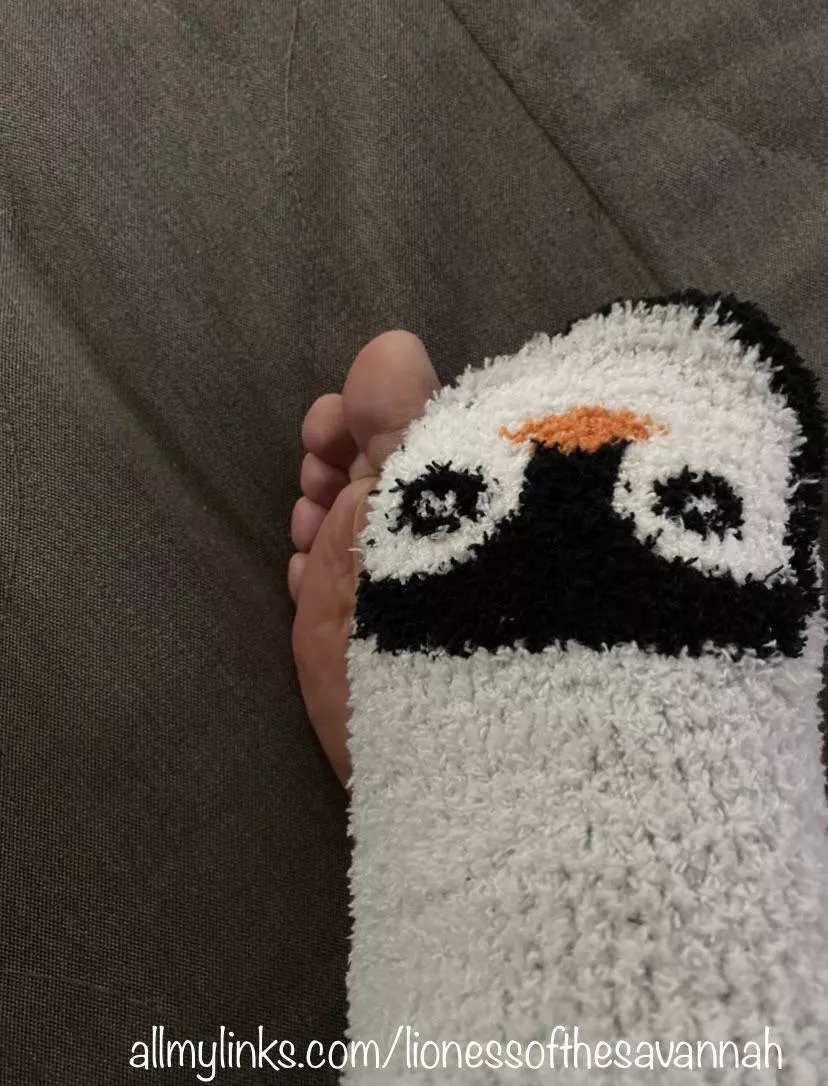 You like my fuzzy sock? You like my fuzzy sock?