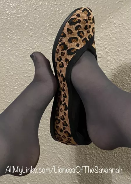 You like my Nylon socks, donβt you?