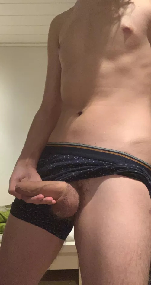 you like my soft cock?