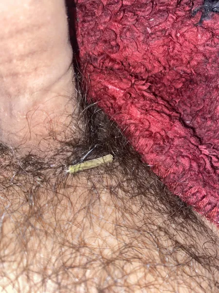 you really know you’re a stoner when you find stems in your pubes 😂