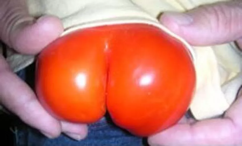 You say Tomato, I sayrTomatits