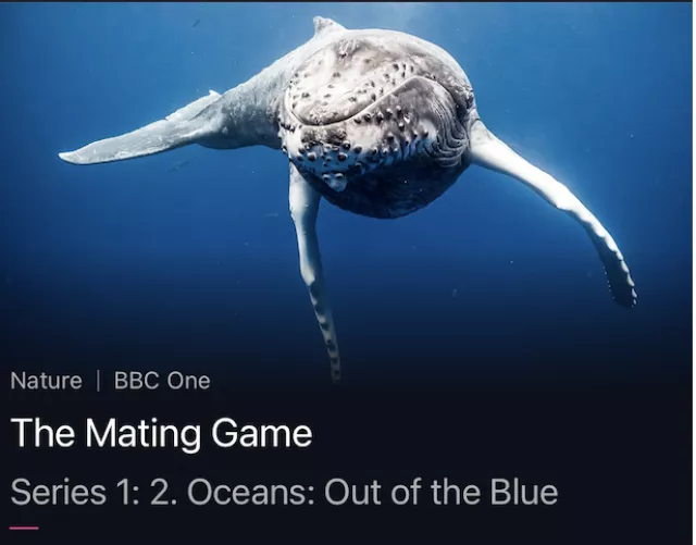 youpornfish.com is the best redirect I've made 🙌