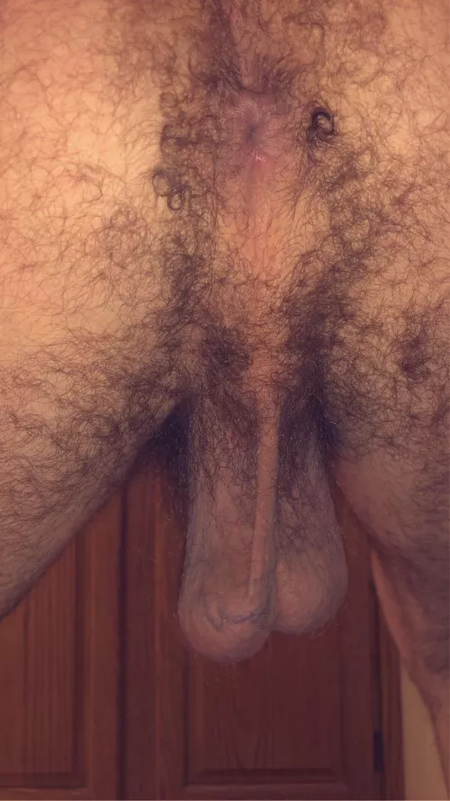 Your cocks view 👀