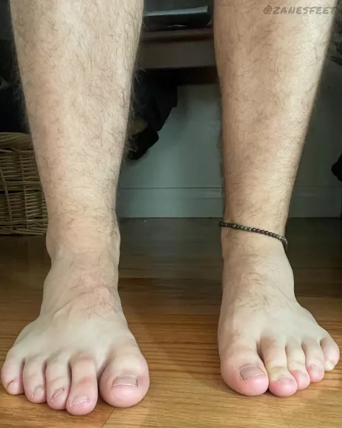 Your new phone wallpaper