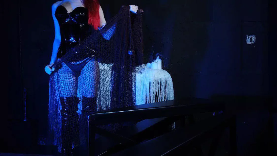 You've fallen into my net !