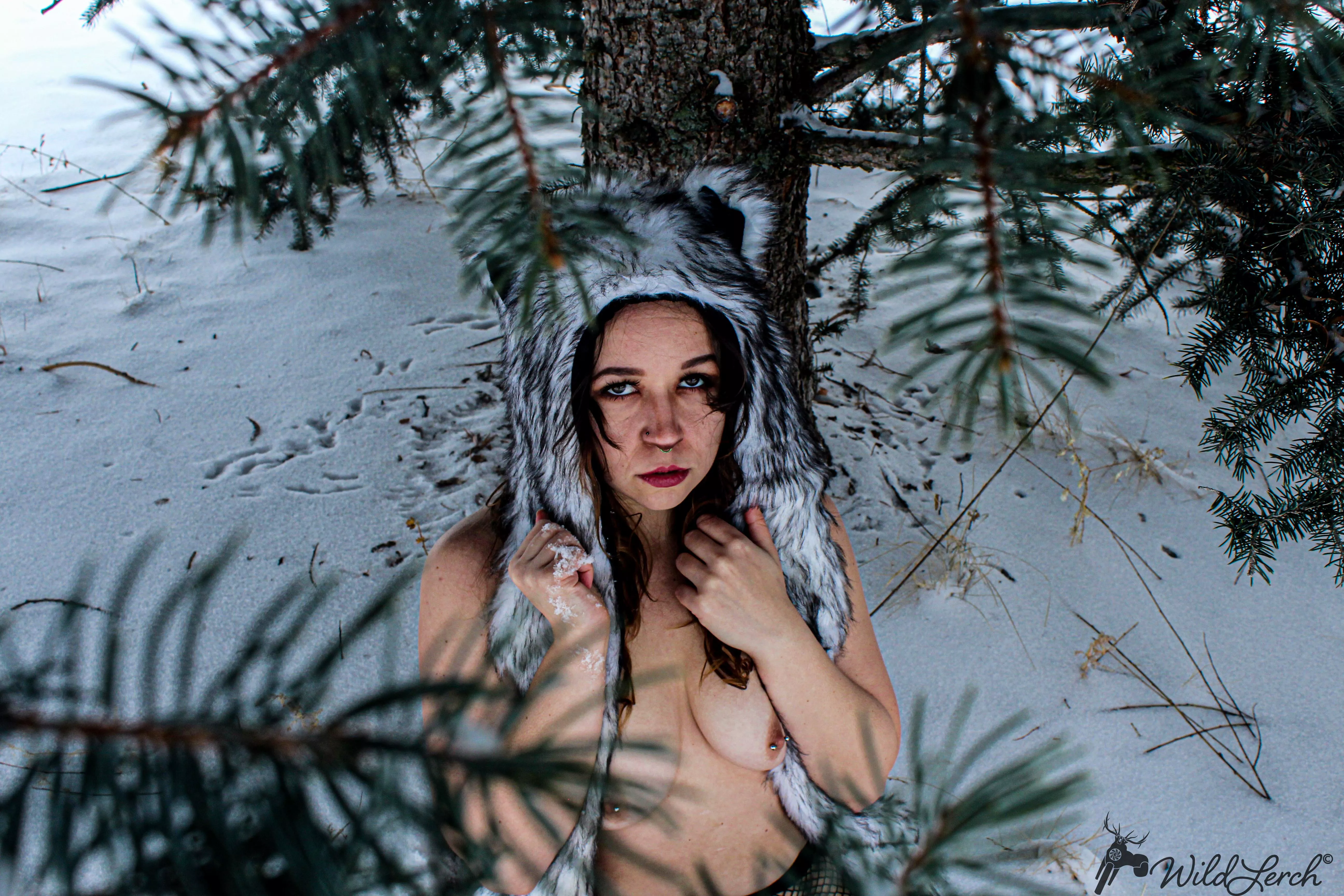 You've stumbled upon my wolf den ...