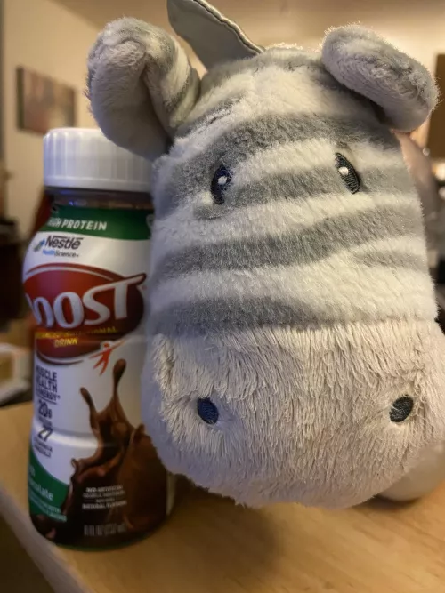 Zed is here to keep us company while we work on our writing. Also we’re having Boost for dinner, because some days our body just doesn’t want to play nice. 🤷‍♀️😕