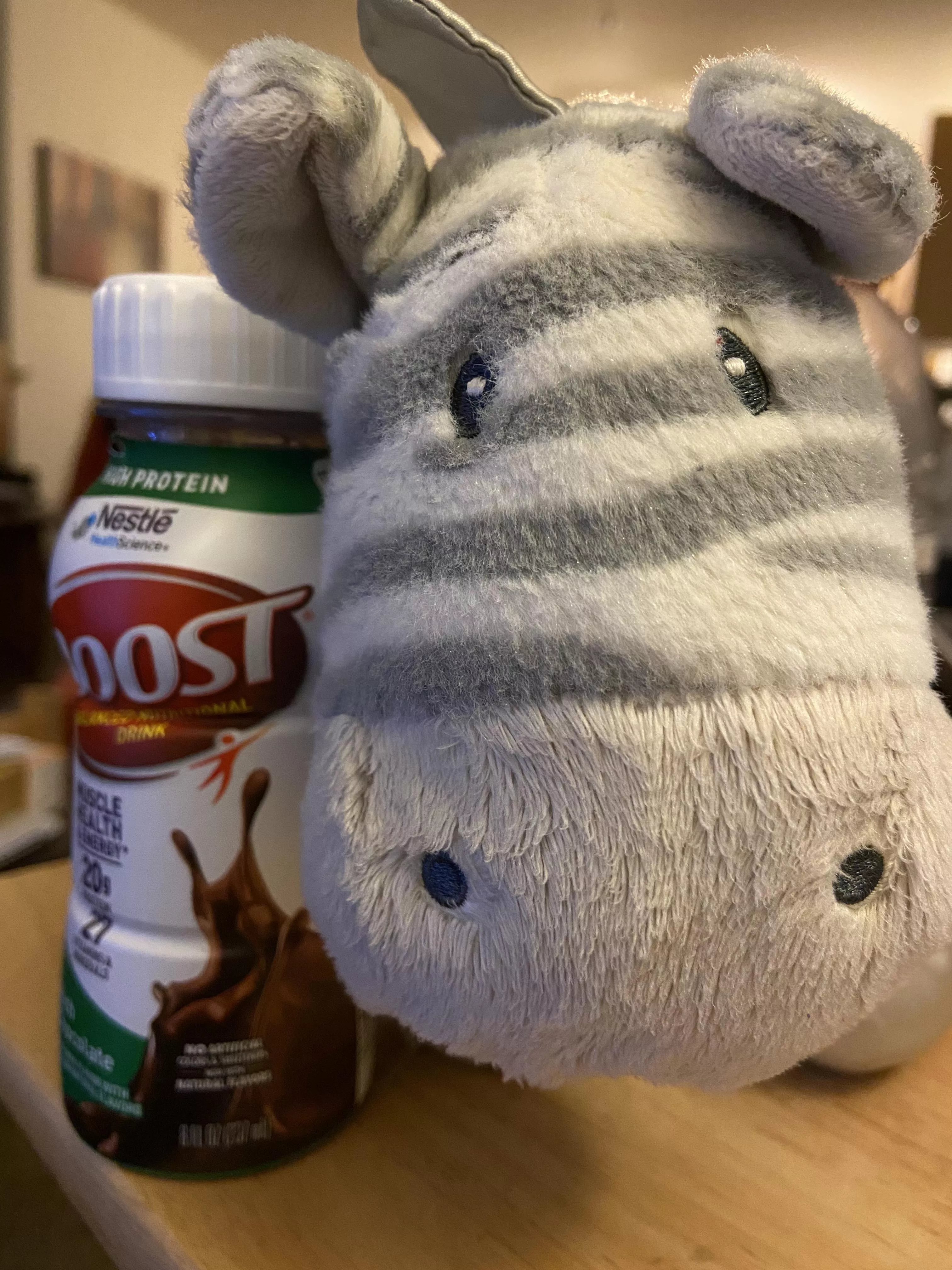 Zed is here to keep us company while we work on our writing. Also we’re having Boost for dinner, because some days our body just doesn’t want to play nice. 🤷‍♀️😕