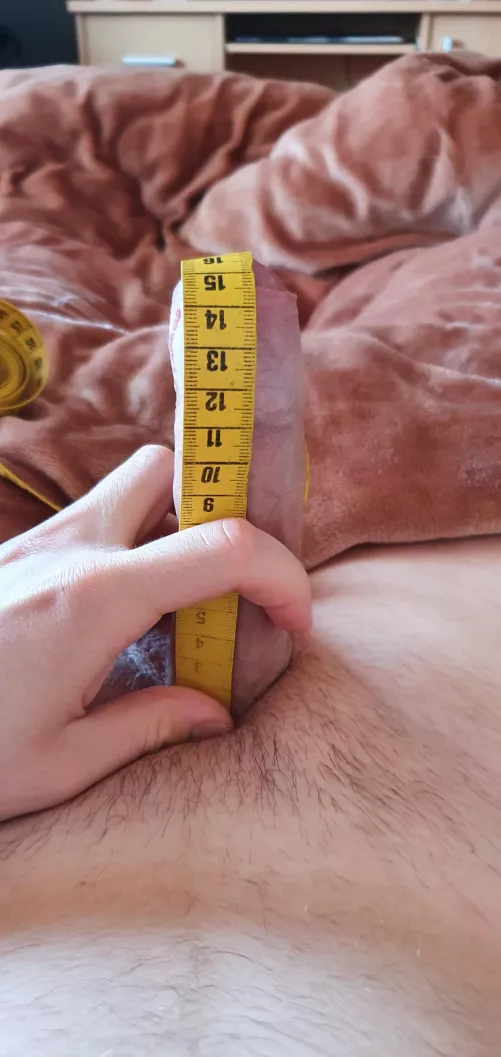 15 cm / 6 inches of my virgin cock ready for duty 😀