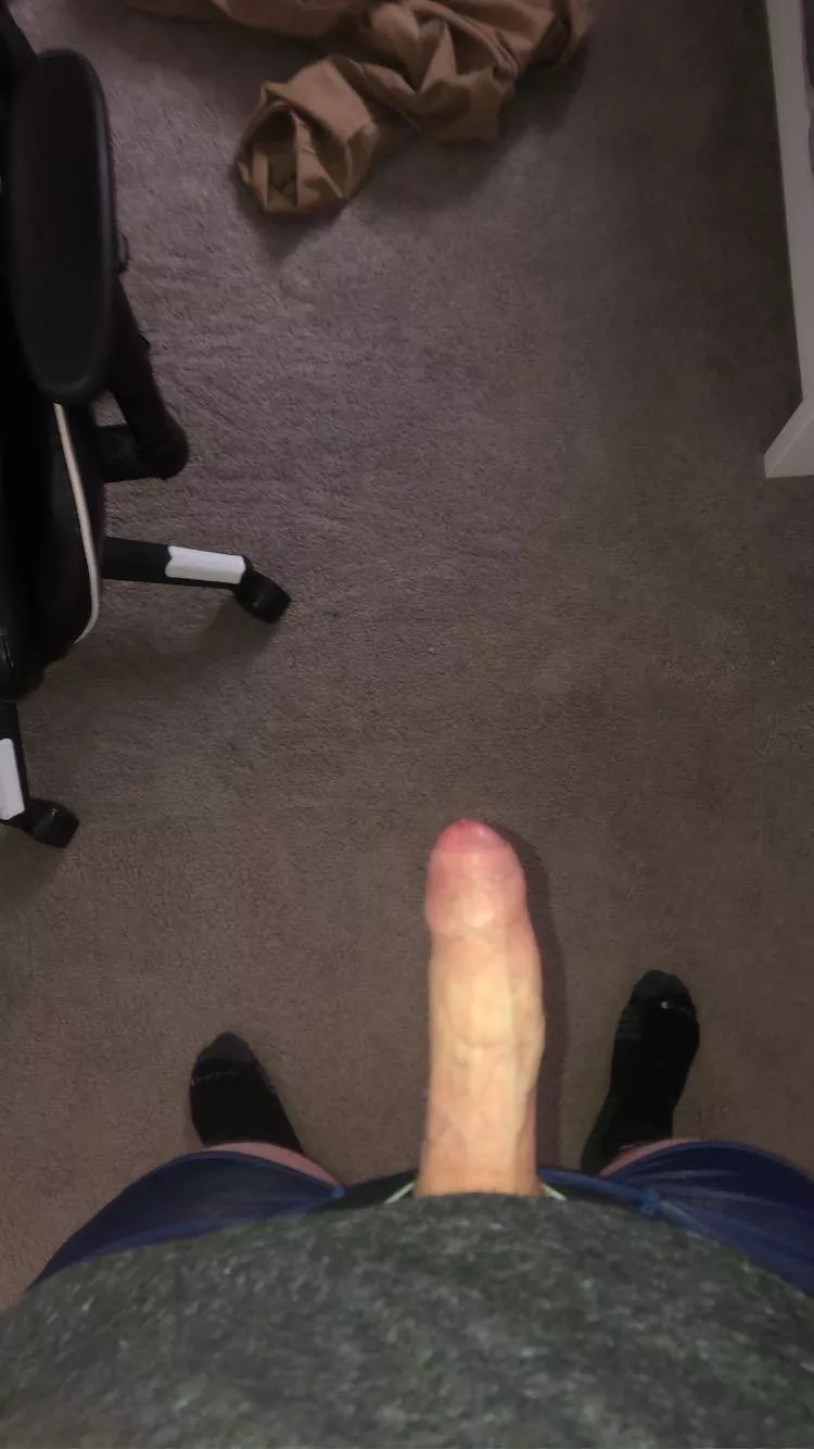 18 dms open