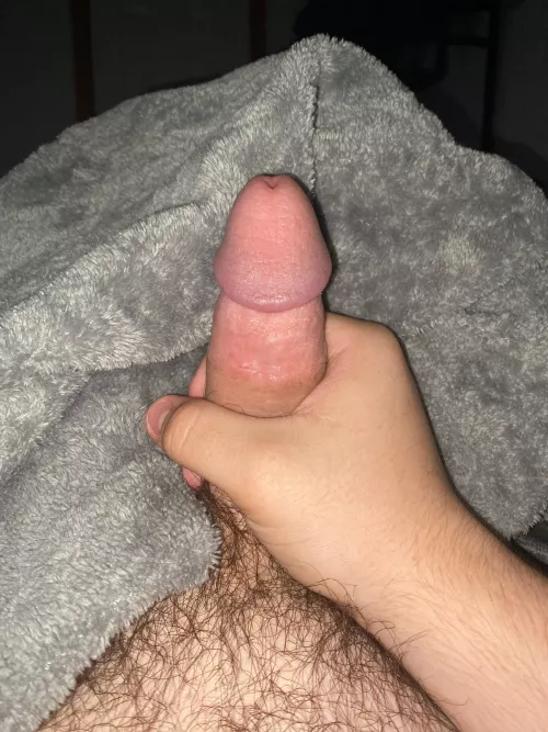 [18] throbbing rn ;) wanna jerk with me? shoot me a dm!