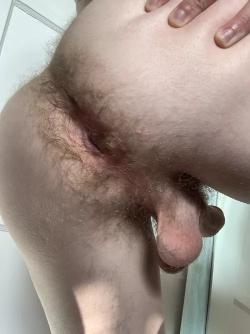 18yo virgin ass begging to be filled