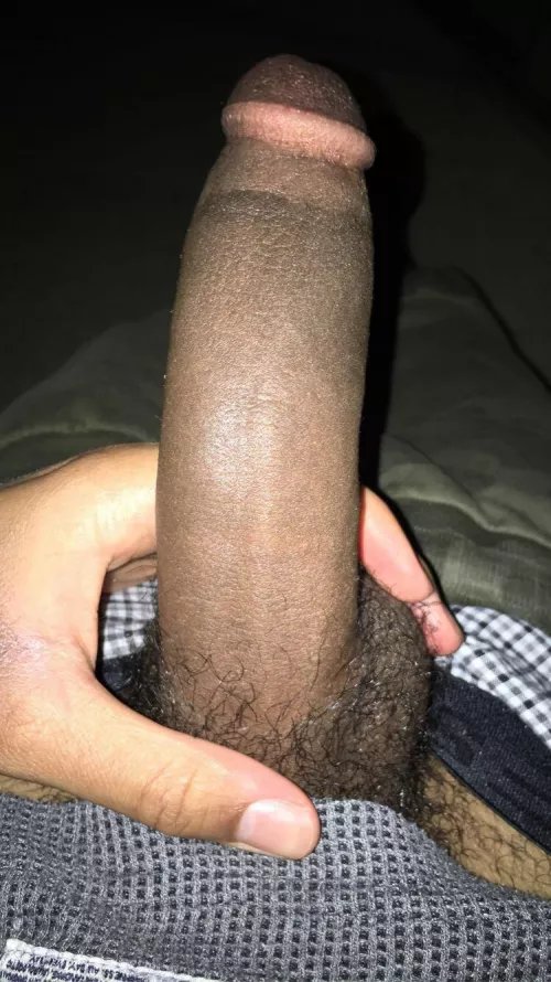 19 m looking for a bottom slob boyfriend/friend with benefits. You need to have bad hygiene (shitty ass, smelly armpits, smelly cock etc) and be a bottom, big plus if you’re non masc/have a cute shaved face. Snap: op2478