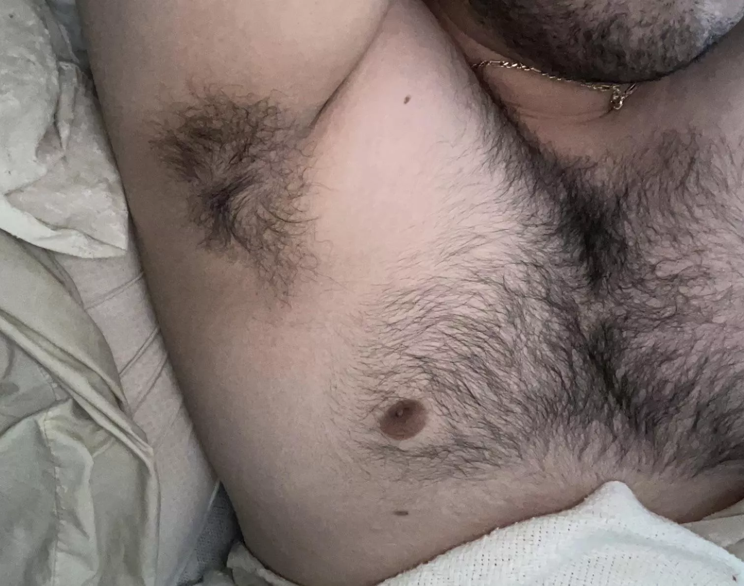 20 m come get a sniff of my hairy body